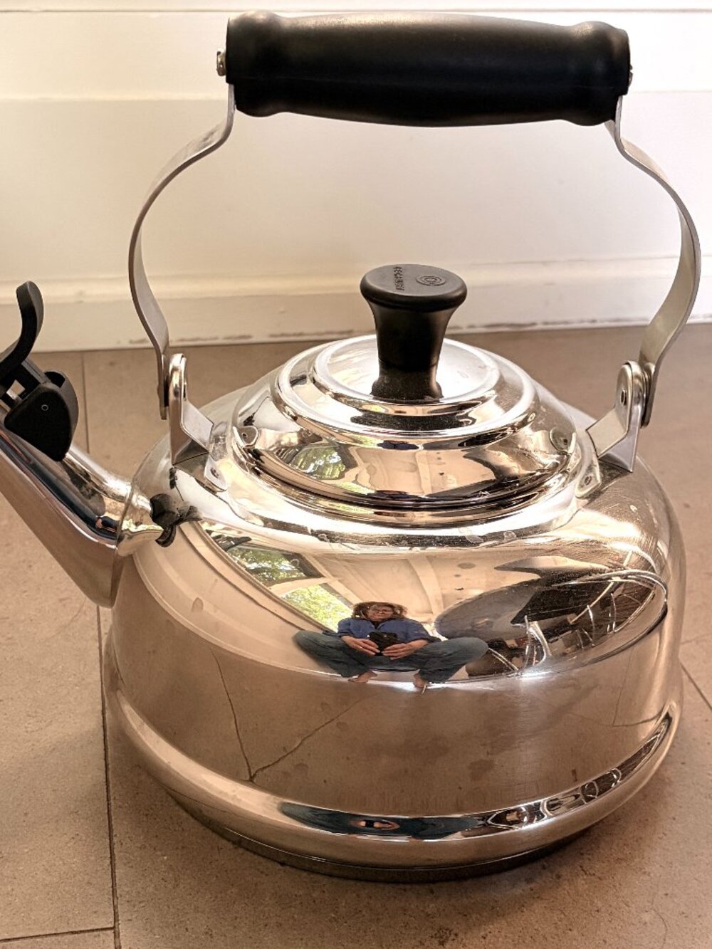 Le Creuset Classic Stainless-Steel Kettle
